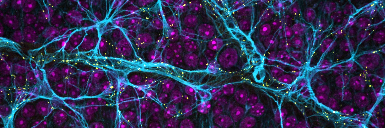 Melissa Cooper, PhD's banner