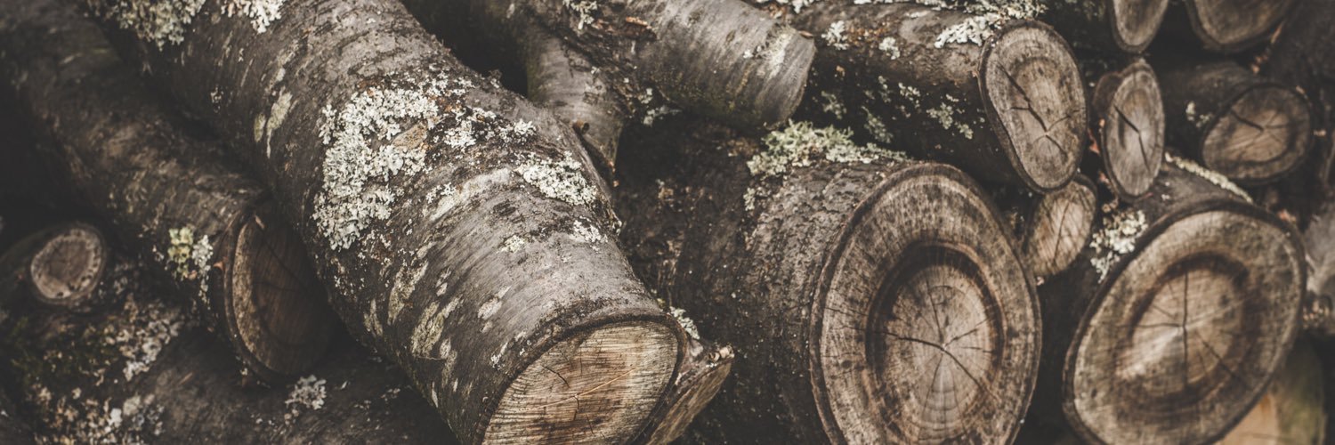 TafoyaMusic's profile banner image