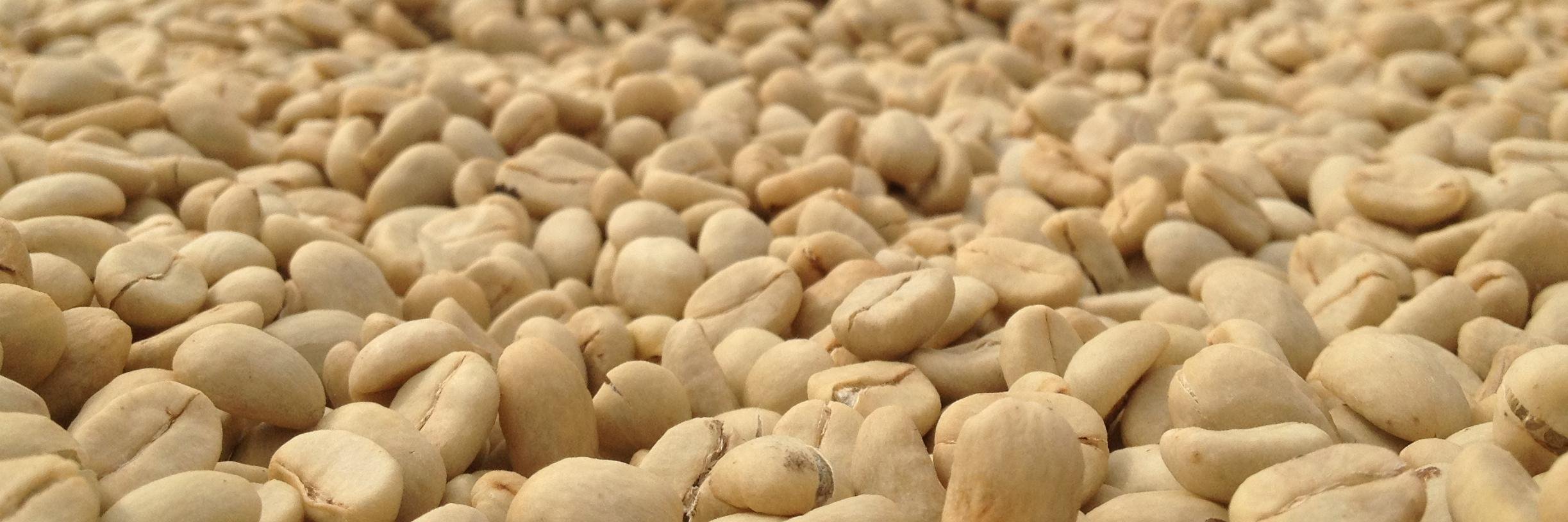 Benjamin Paz Muñoz banner