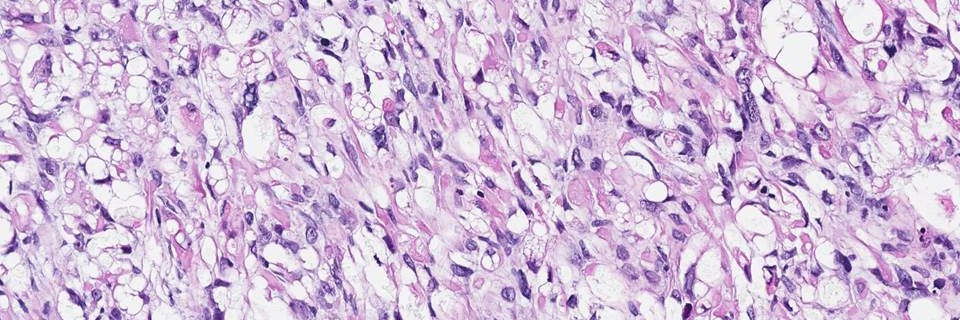 Michael Arnold, MD, PhD's banner