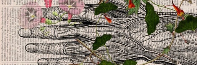 dakotapatten's profile banner image