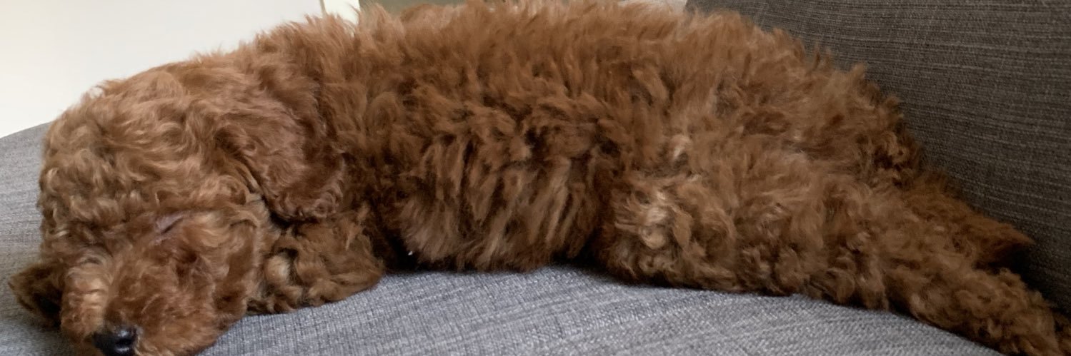 Austin Czarnik banner