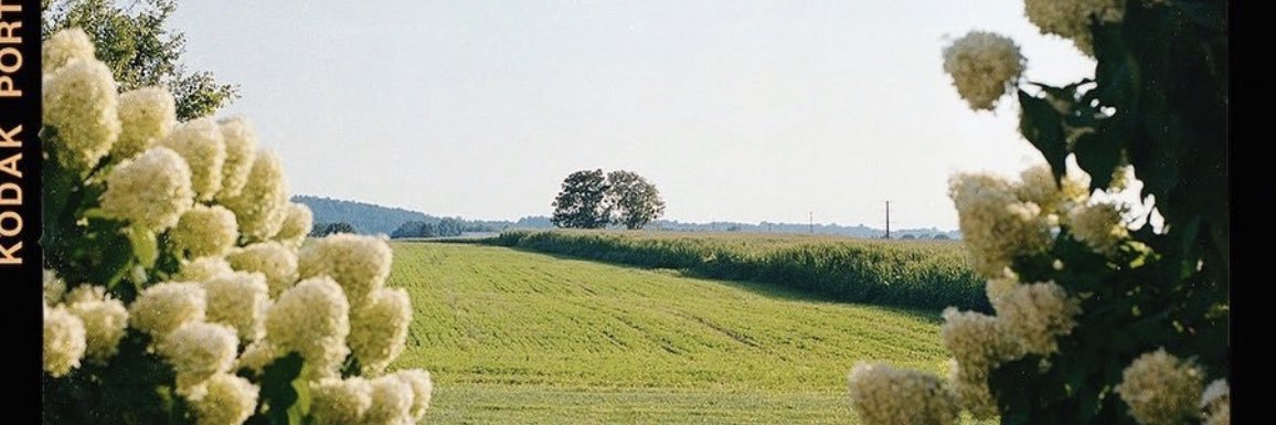 jake's banner