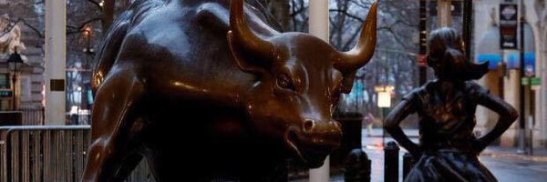 StaciFox Profile Banner