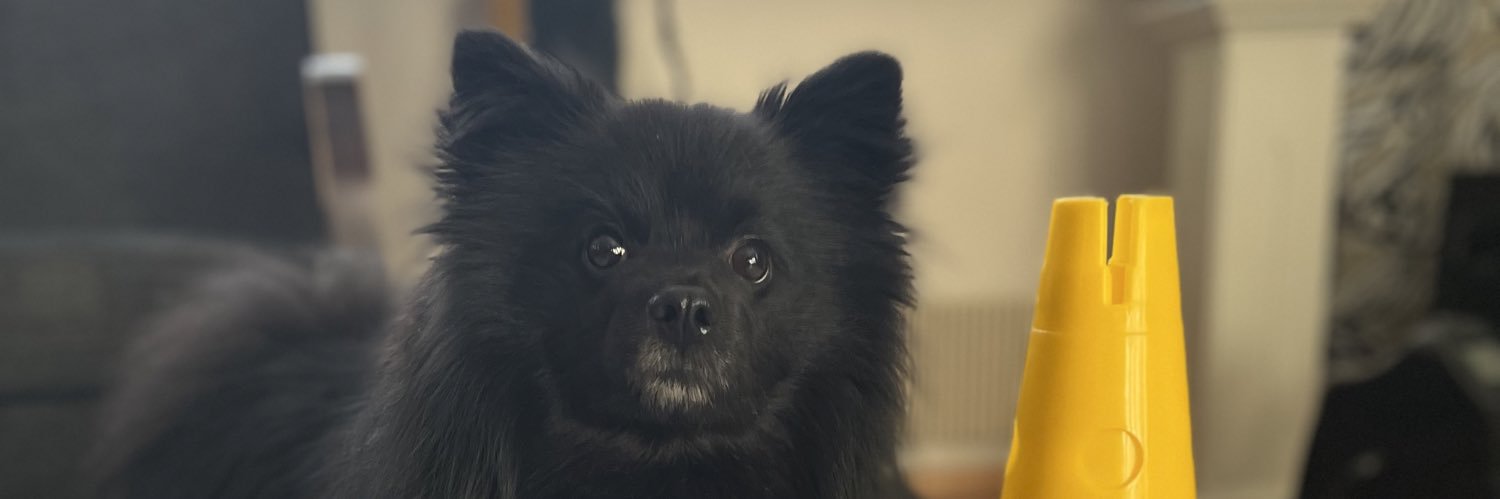 MuukkonenMinna's profile banner image
