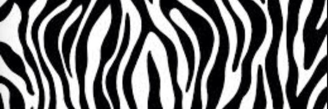 merpeltier's profile banner image