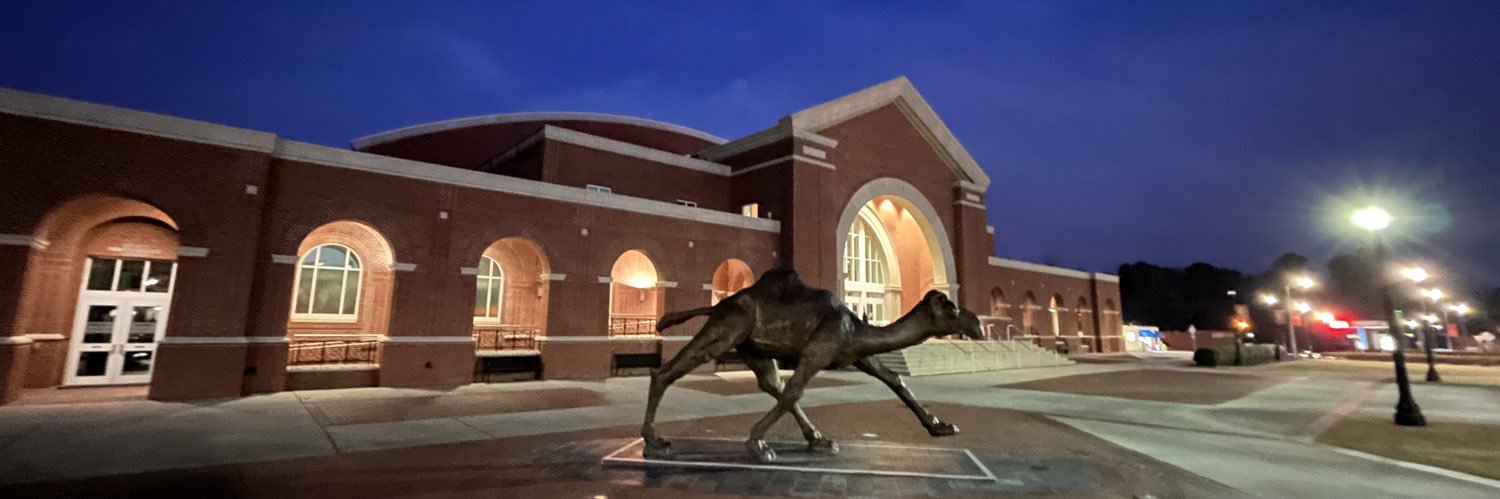 Meredith Williams banner