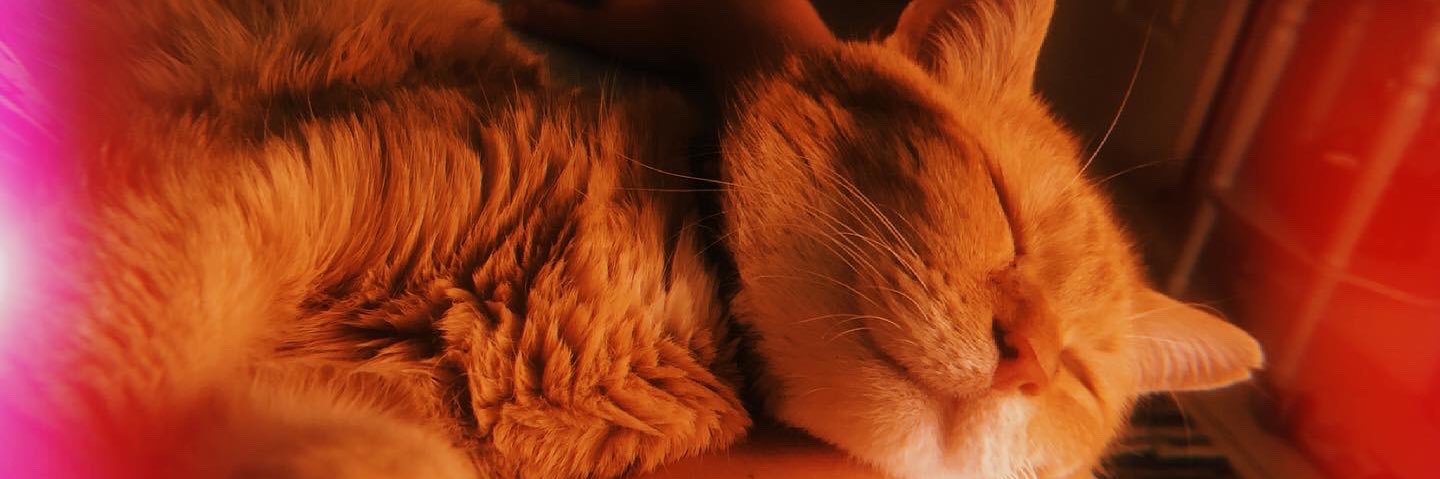 joobie_'s profile banner image