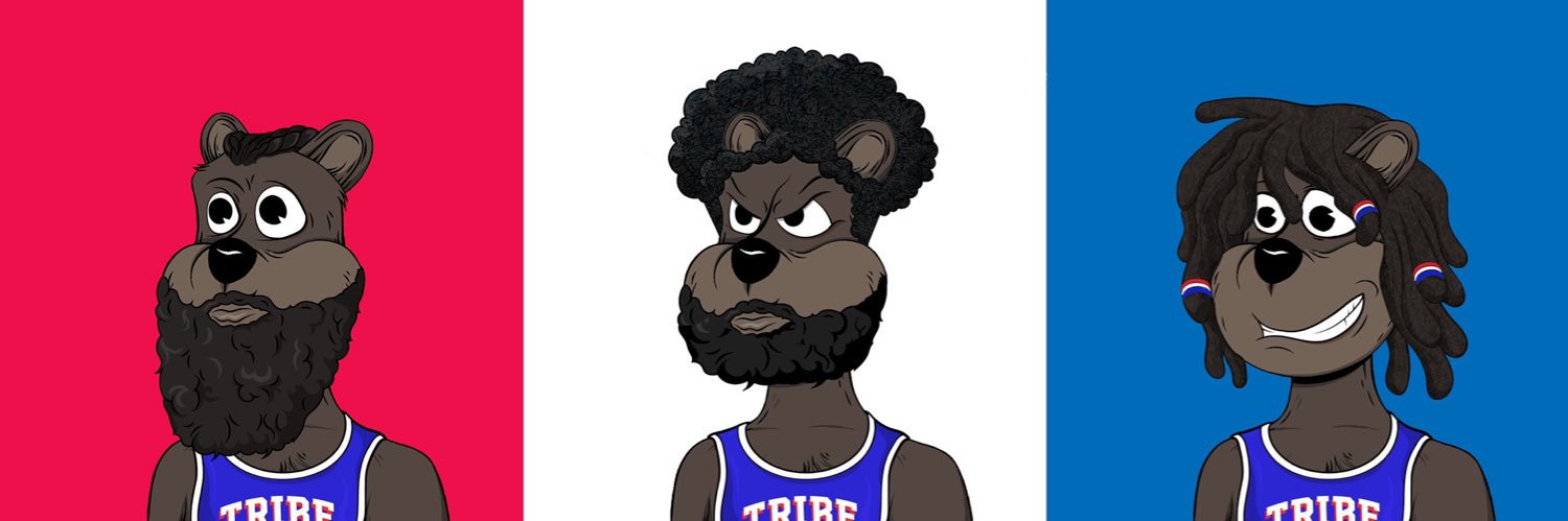 tim banner