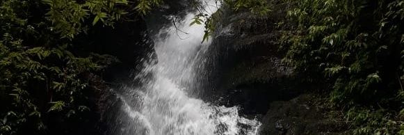 PamStevensRR's profile banner image