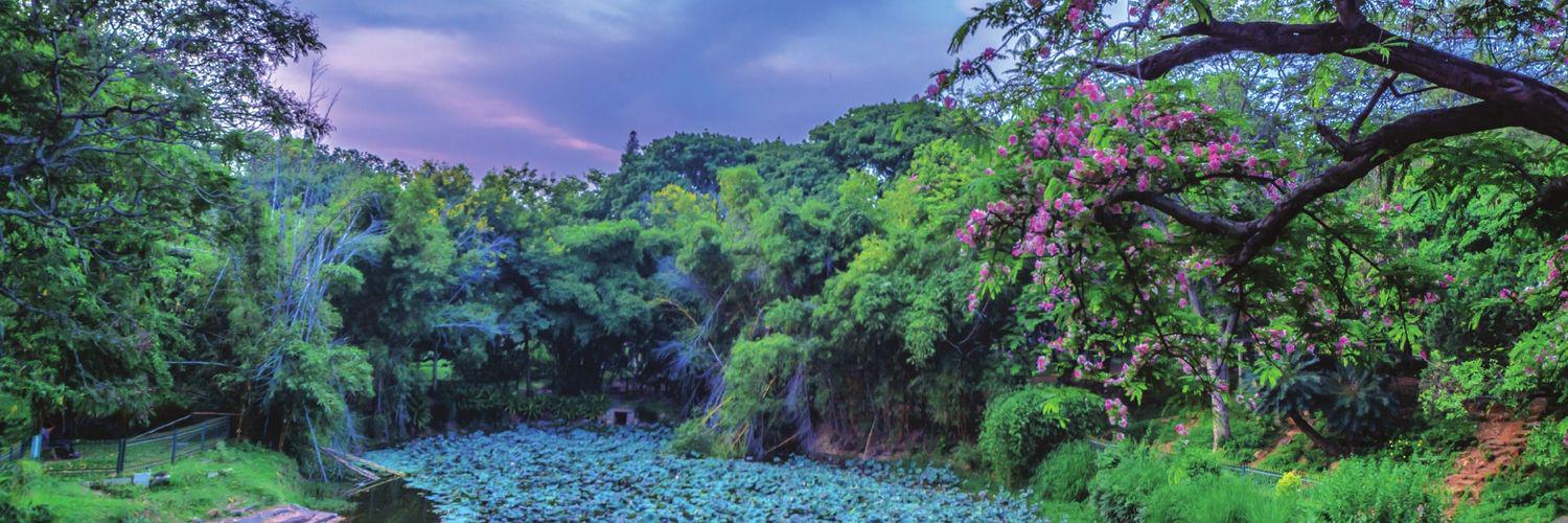 Mohitgrg9's profile banner image