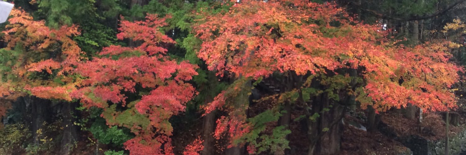 drpete56's profile banner image