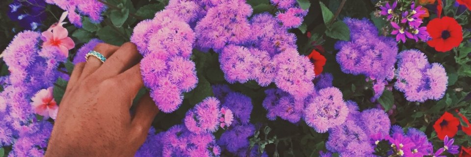 BySilkAndSuede's profile banner image
