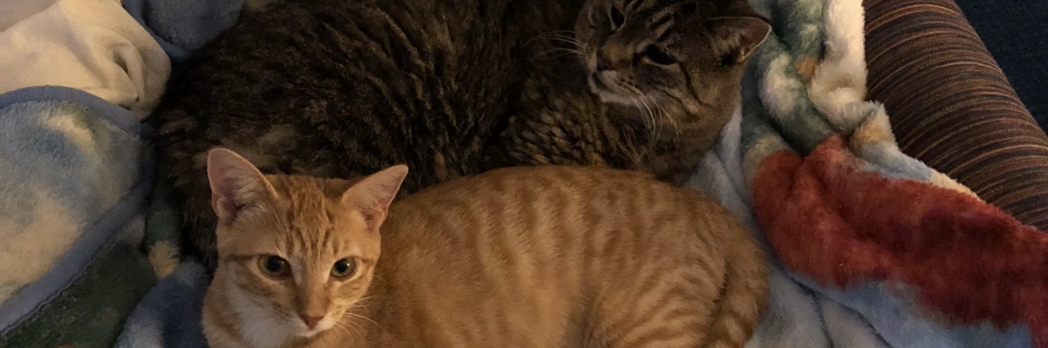 julsweav's profile banner image