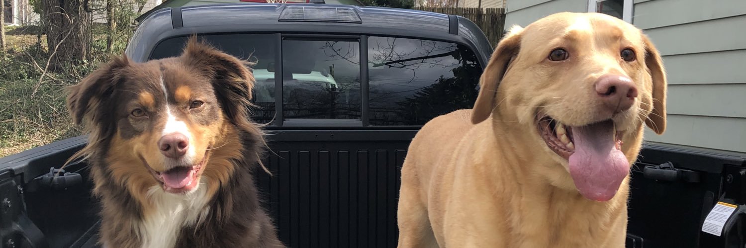 LeaveItToBeve1's profile banner image
