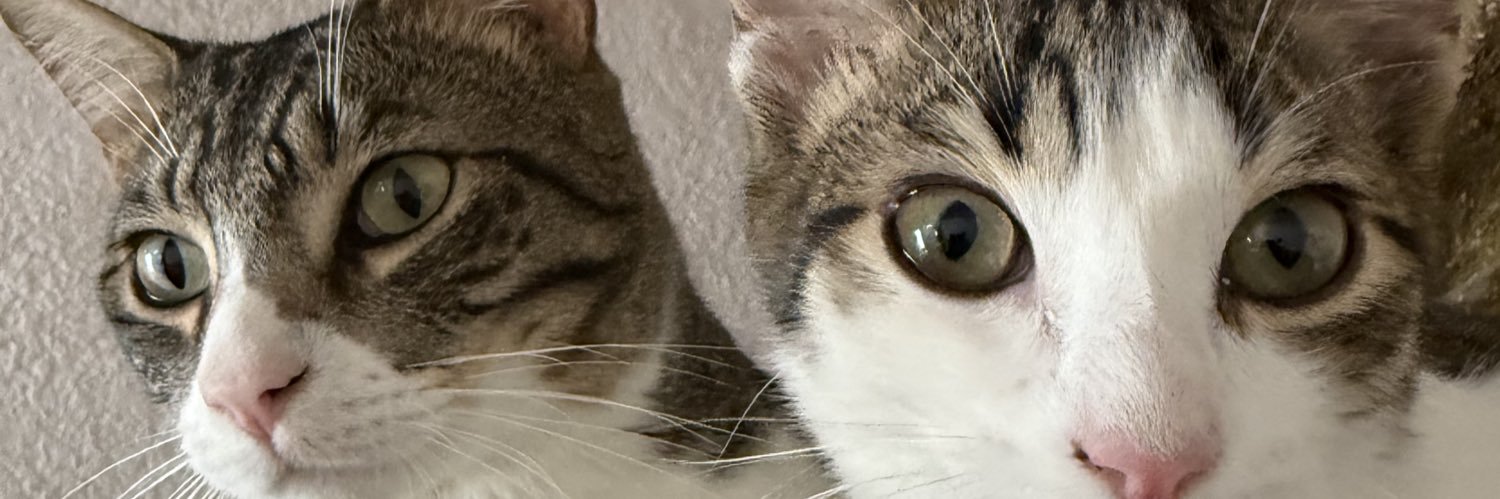 RataCoNthinne's profile banner image