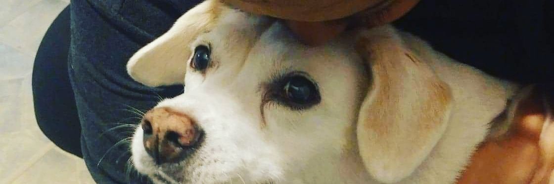 cvrboss's profile banner image