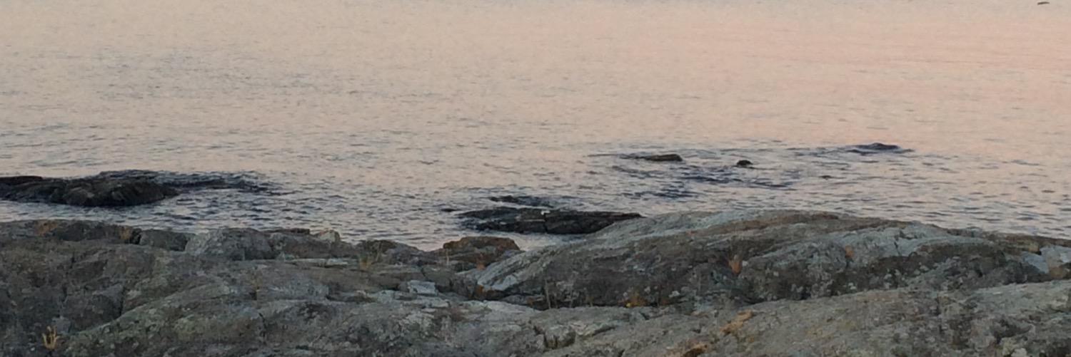 caitlin_pflanz's profile banner image