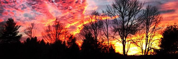 Kylee Lowndes banner