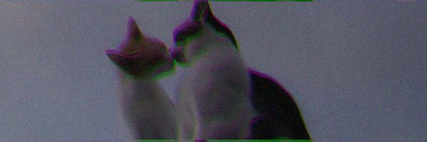 MayorDotMe's profile banner image