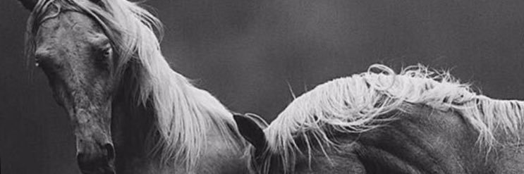 amenash's profile banner image
