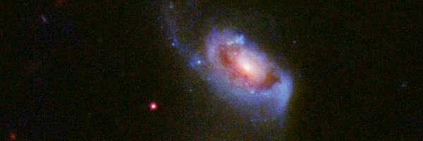 Jimsuit Profile Banner