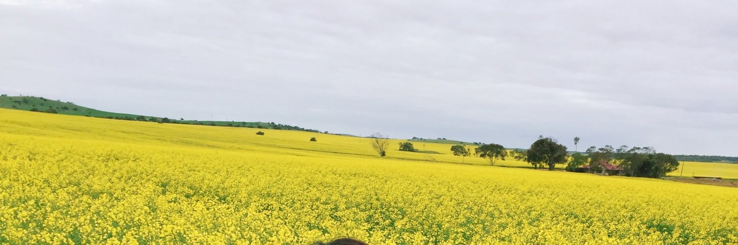 has_yusuff's profile banner image