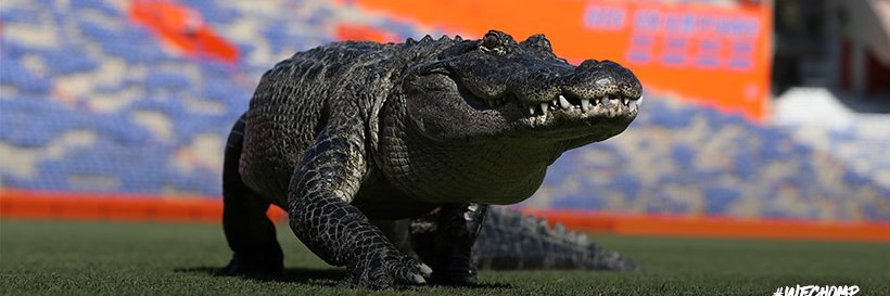 Palm Beach County Gator Club® banner