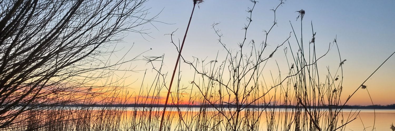 Vera Dalm🐰 #houjehartopen banner