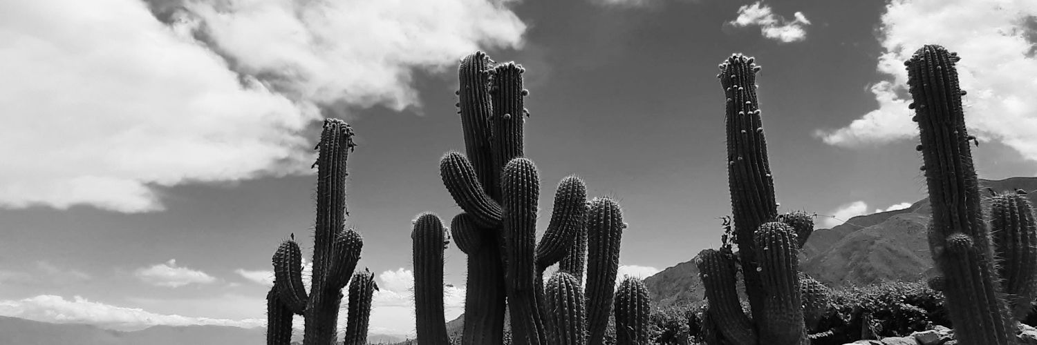 mrcucus's profile banner image
