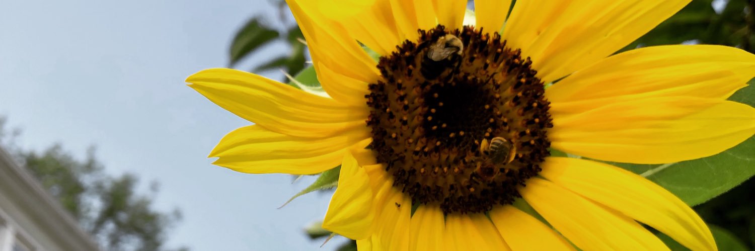 uhlickyaa's profile banner image