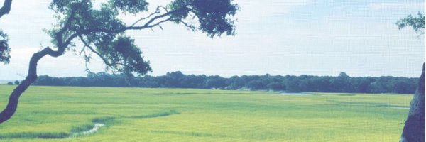 morganbarfield Profile Banner