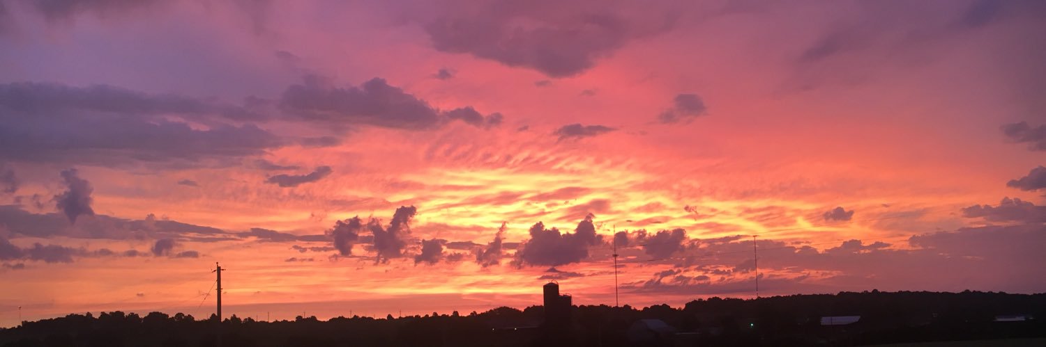 noahaphillips's profile banner image