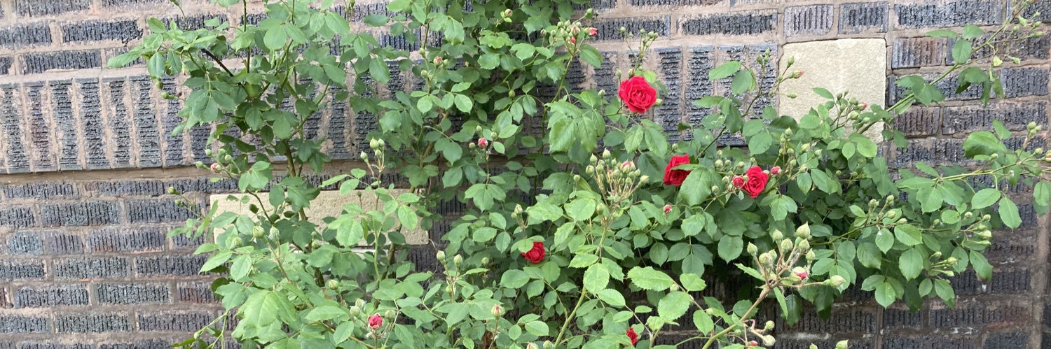 LAVON N. PETTIS banner