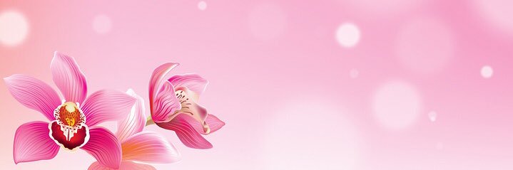 MaylinT18's profile banner image