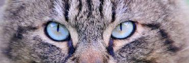 adrok7's profile banner image
