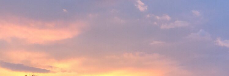 Linda banner
