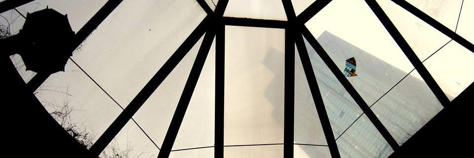 OroDeBerdad's profile banner image