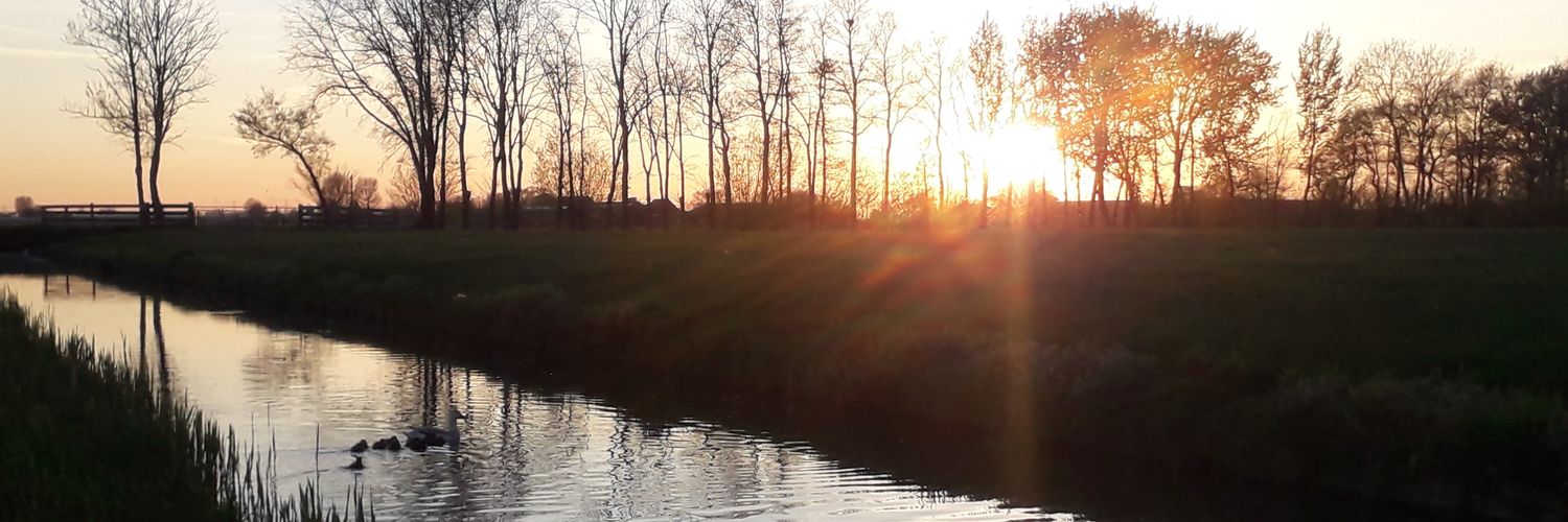 VanderEijk's profile banner image