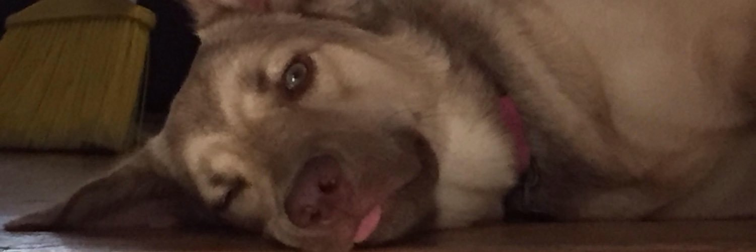 HeelPrimetime's profile banner image