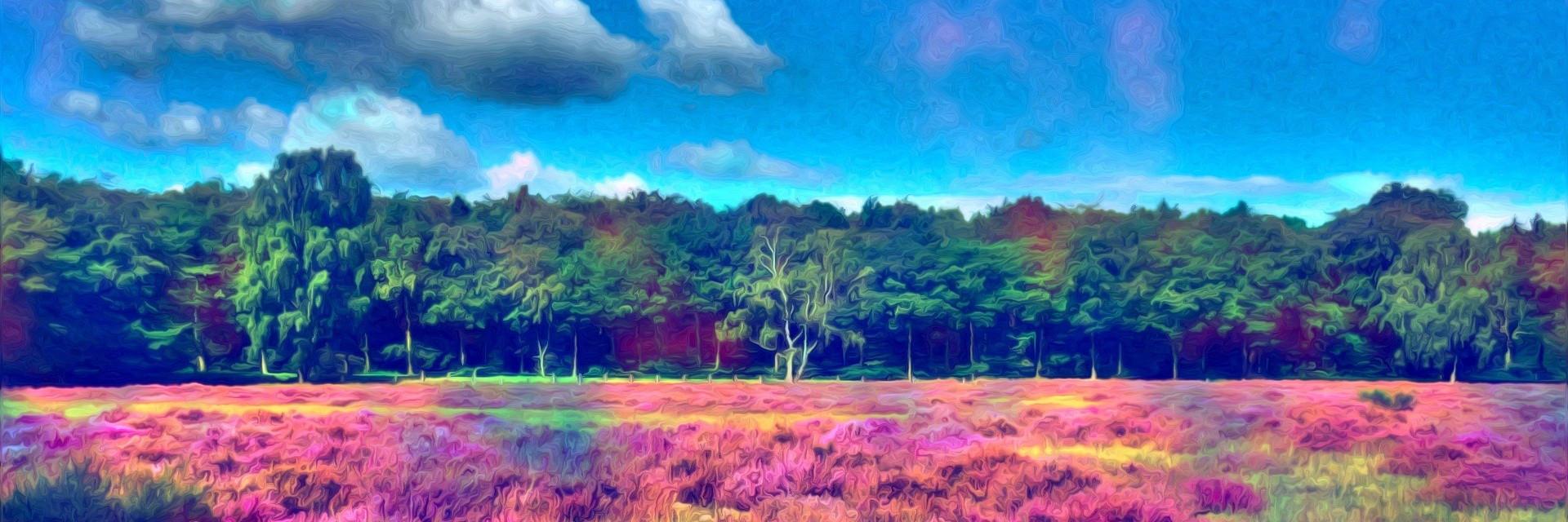 psychedelia_blg's profile banner image