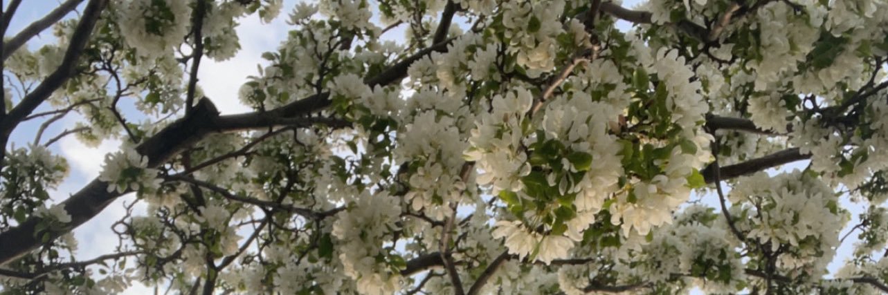 maymiee_ty's profile banner image