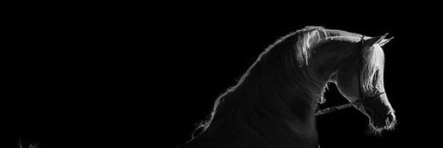 ShAlkhater's profile banner image