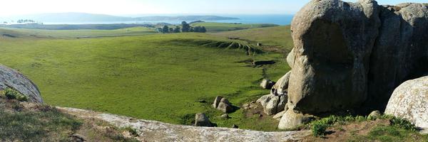 caencontee Profile Banner