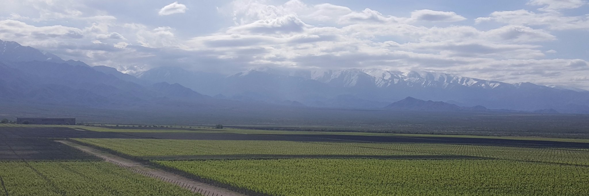 Guillermorgil's profile banner image