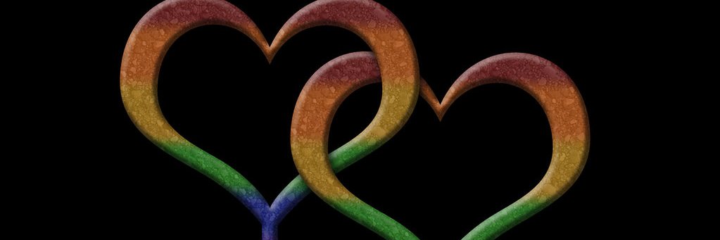 Lillybrat's profile banner image