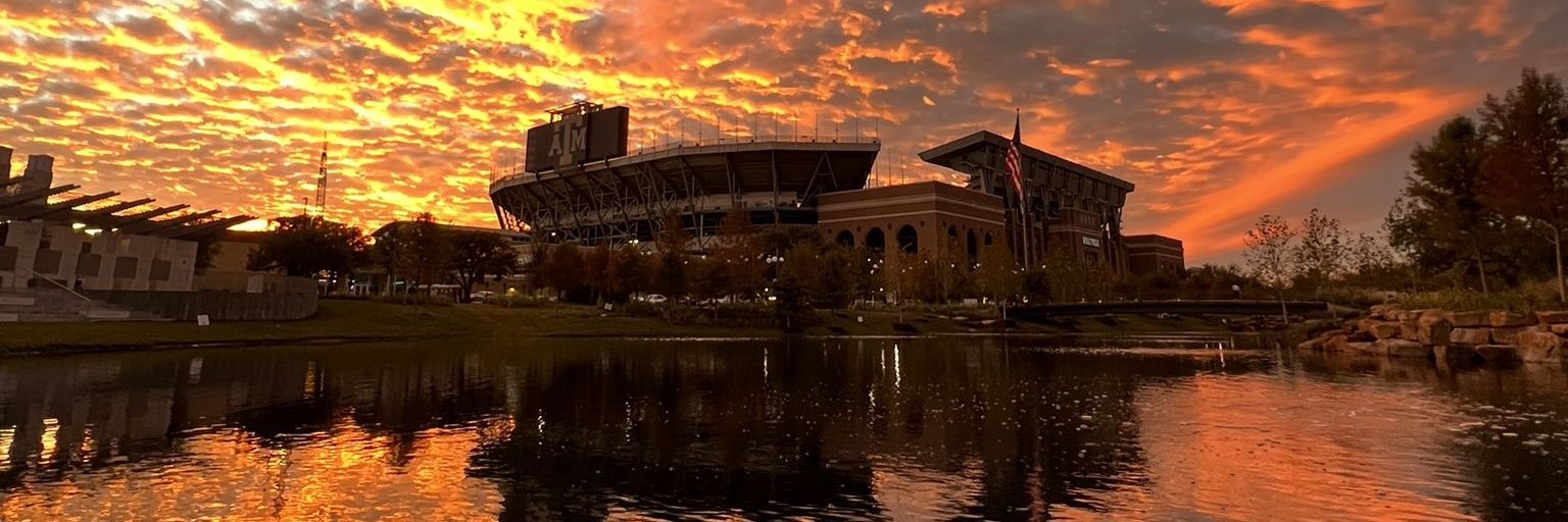 aggmaroon's profile banner image