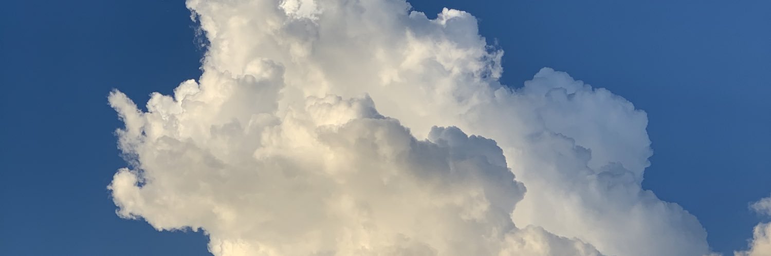 zilhouetted's profile banner image