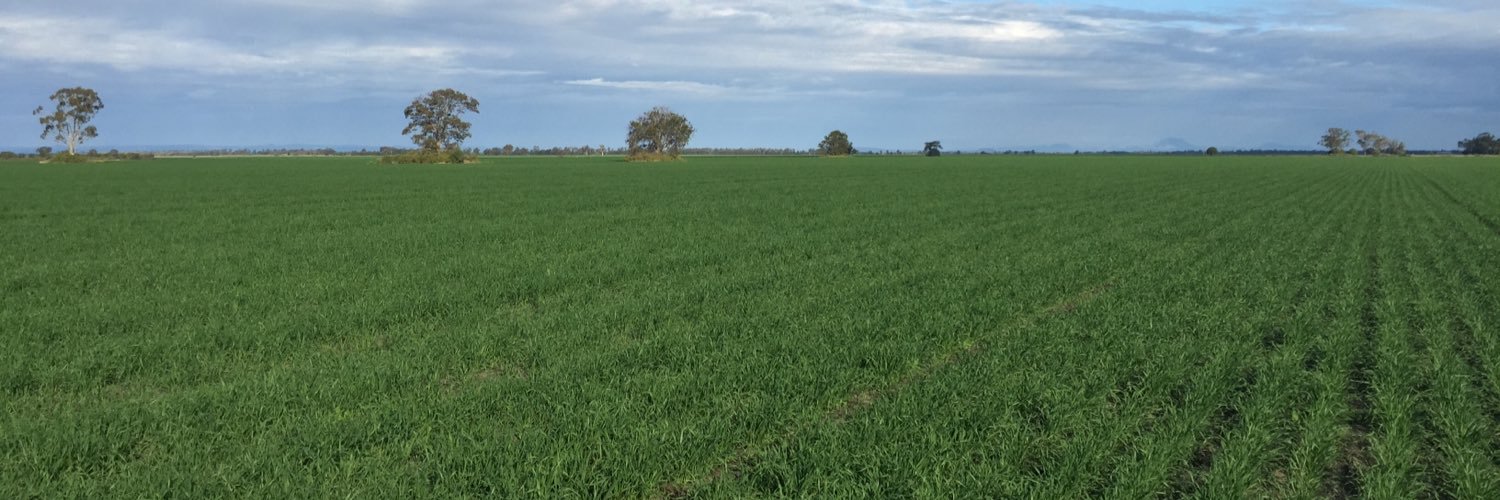 Alexander Madden banner