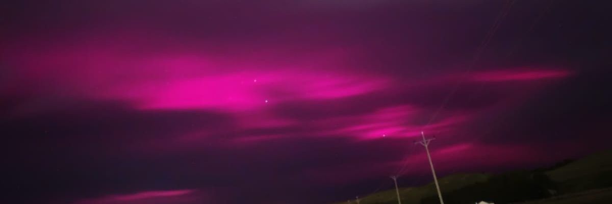 Un_leopardo_de_las_nieves banner